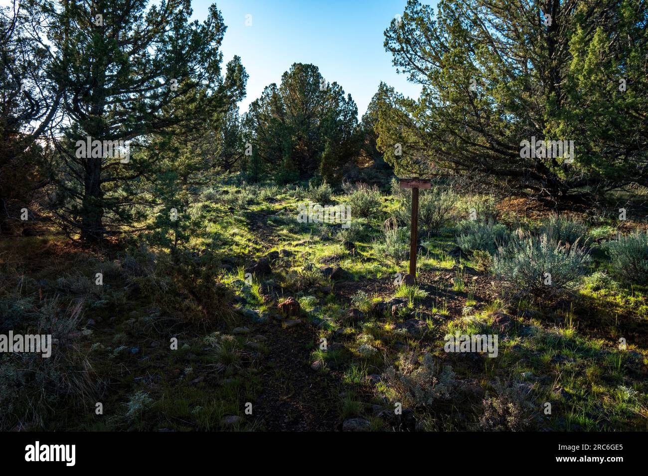 Little Blitzen Trailhead nella Steens Mountain dell'Oregon Foto Stock