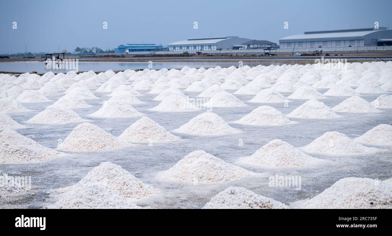 Fattoria di sale marino paesaggistico in Thailandia. Sale salamoia. Materia prima di sale industriale. Cloruro di sodio. Evaporazione e cristallizzazione dell'acqua di mare. Sale Foto Stock