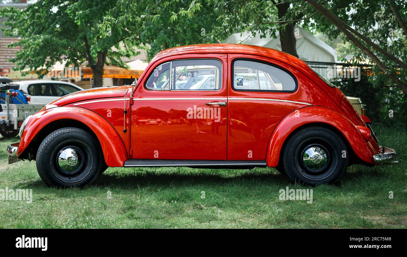 WERDER (HAVEL), GERMANIA - 20 MAGGIO 2023: L'auto subcompatta Volkswagen Beetle, 1960. Oldtimer - Festival Werder Classics 2023 Foto Stock
