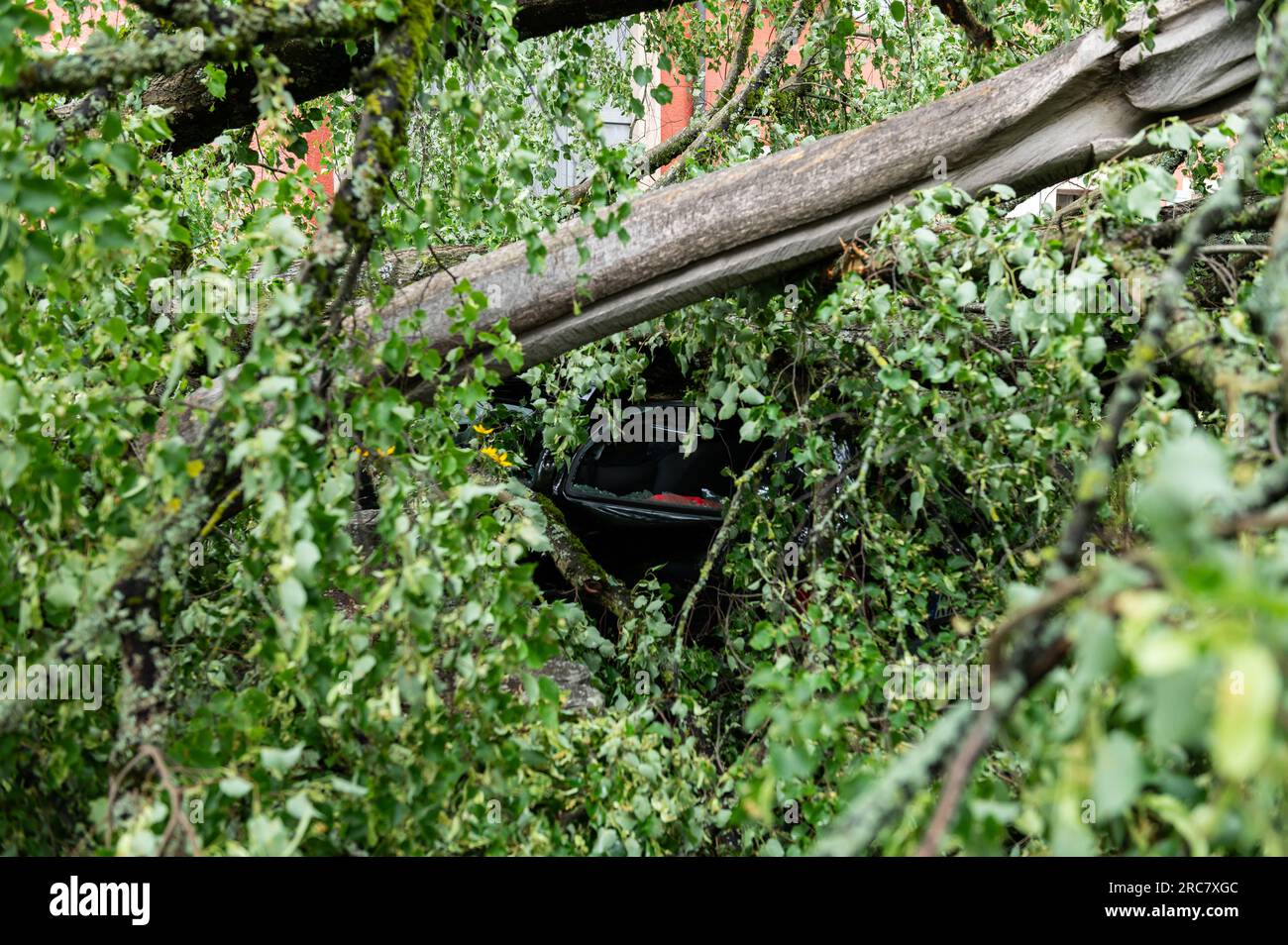 Rottweil, Germania. 12 luglio 2023. Un albero è esploso di fronte al municipio nel quartiere Rottweiler di Göllsdorf mercoledì sera a causa di forti raffiche di vento, seppellendo un'auto sotto di esso. Crediti: Silas Stein/dpa/Alamy Live News Foto Stock