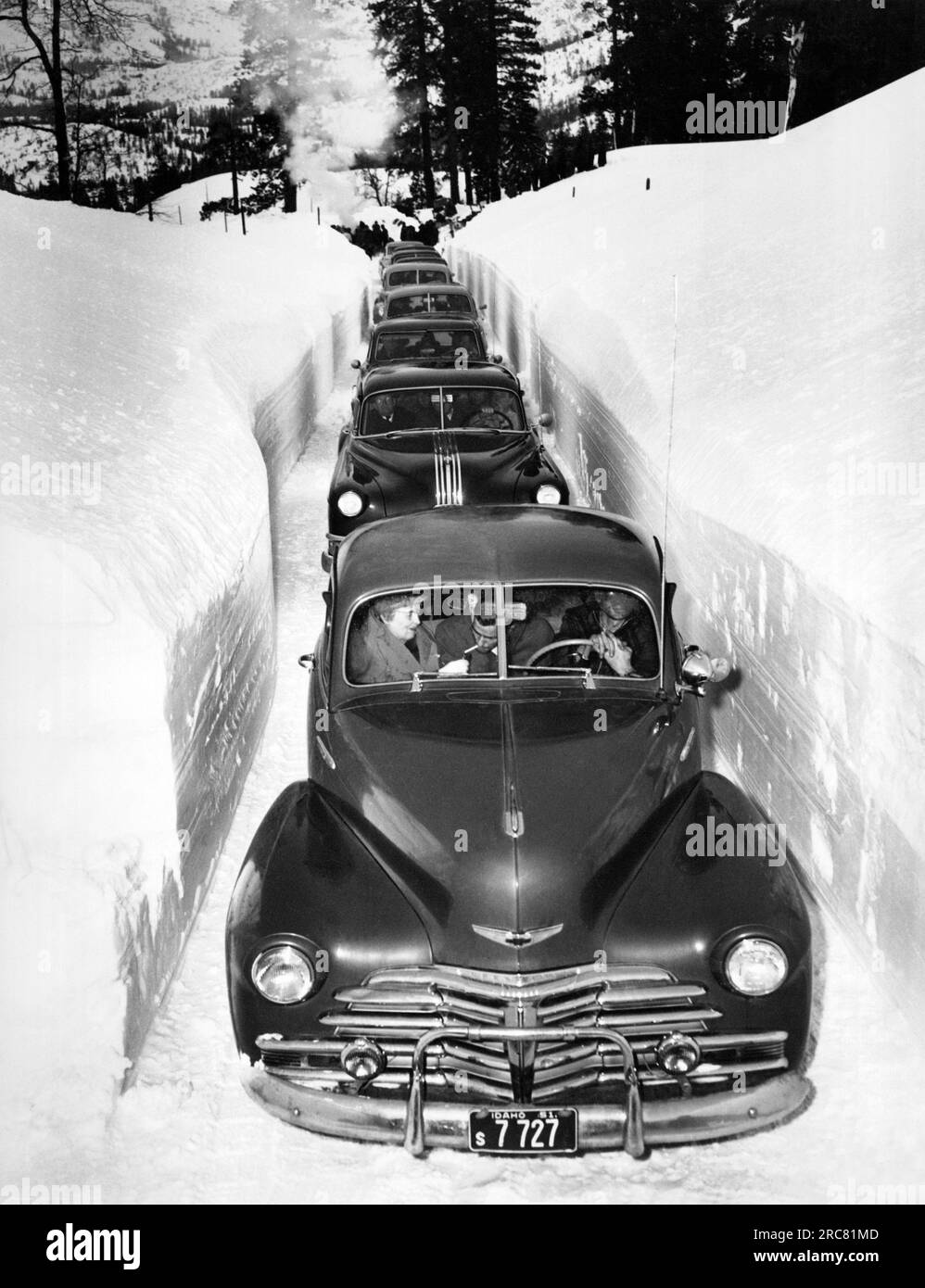 Idaho: c. 1952 è lento attraversare un taglio arato nelle montagne dell'Idaho. Foto Stock