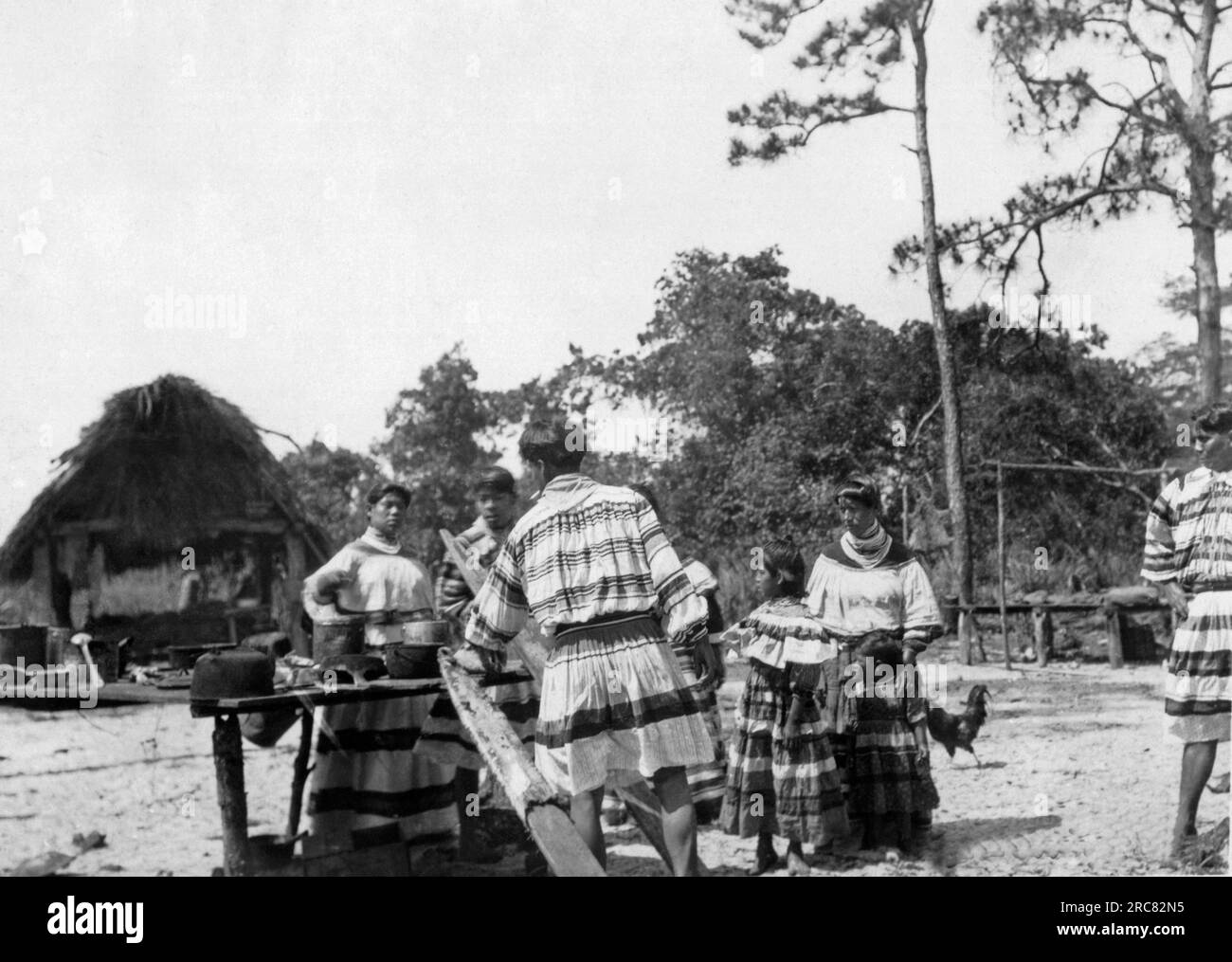 Everglades, Florida: c. 1928 Una scena in un campo di nativi americani Seminole nelle Everglades. Quell'uomo abbronza pelli di animali. Foto Stock