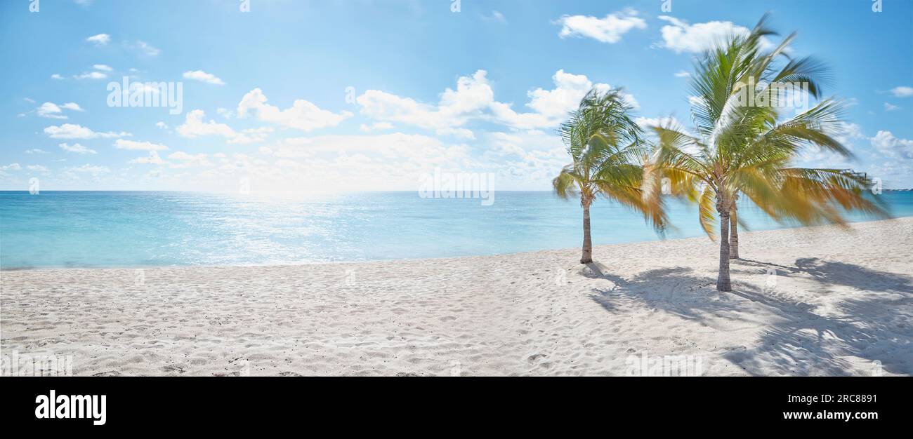 Seven Mile Beach con palme e vento leggero, isola di Cayman Foto Stock