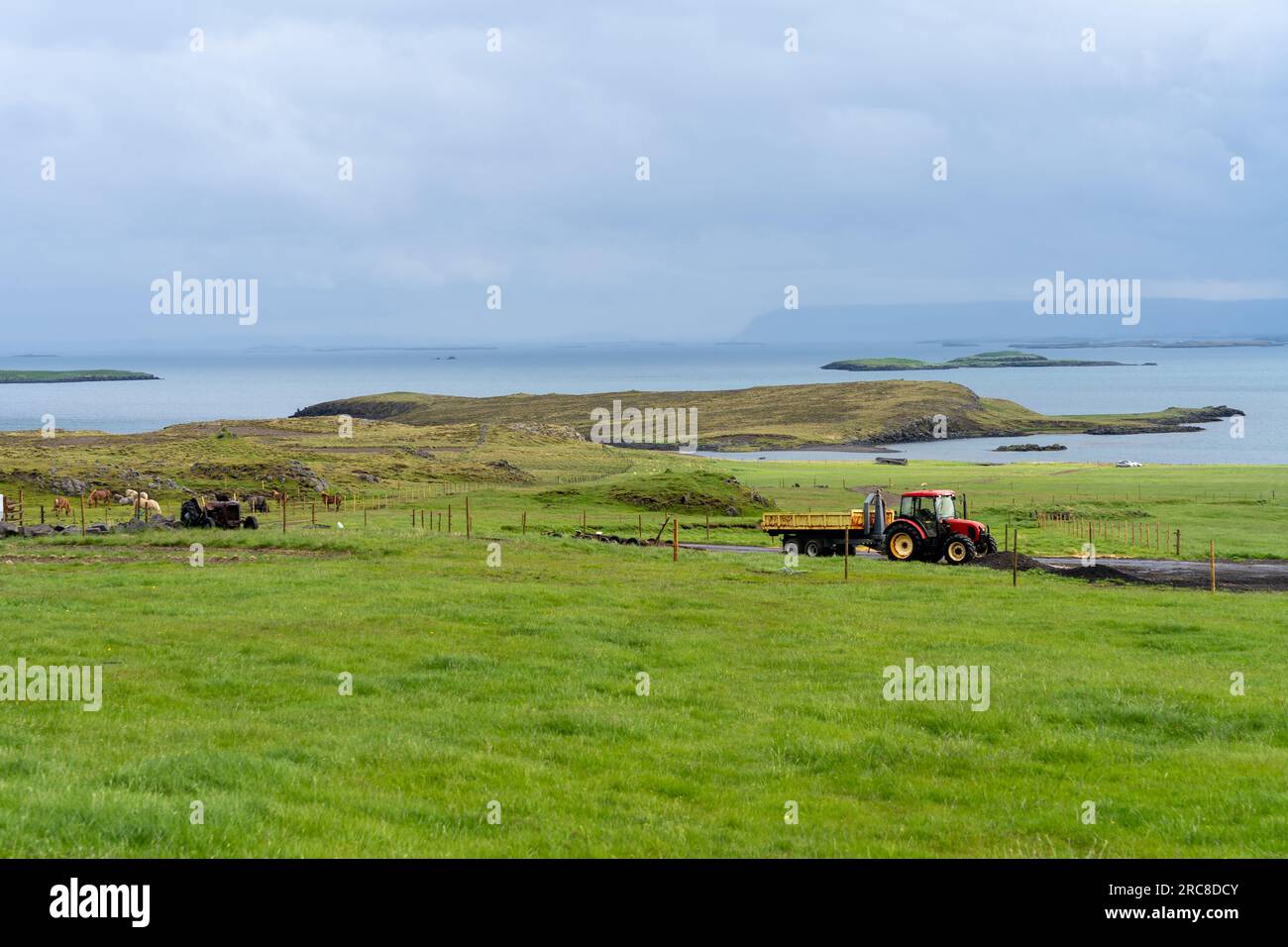 Paesaggio della campagna islandese con erba verde, cavalli islandesi, trattore e mare sullo sfondo Foto Stock