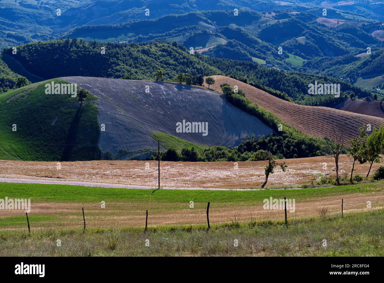 colline boscose del Montefeltro Foto Stock
