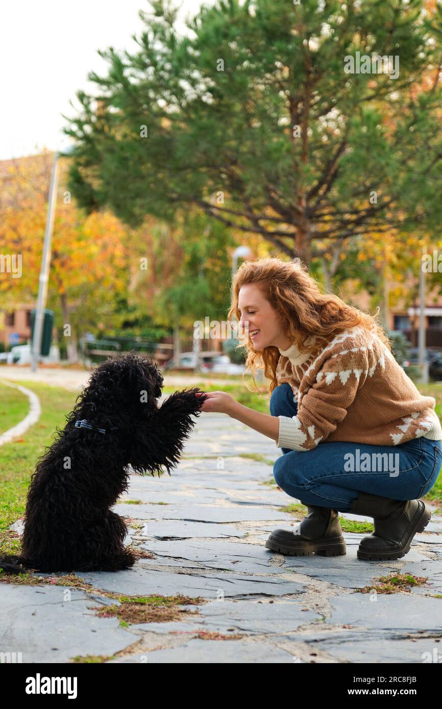 Giovane donna caucasica allenando il suo cane nero cucciolo per dare una zampa. Foto Stock