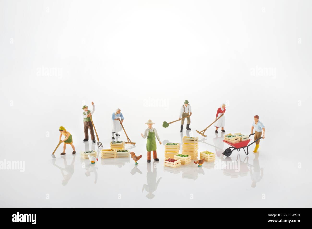 Immagine dell'agricoltura Foto Stock