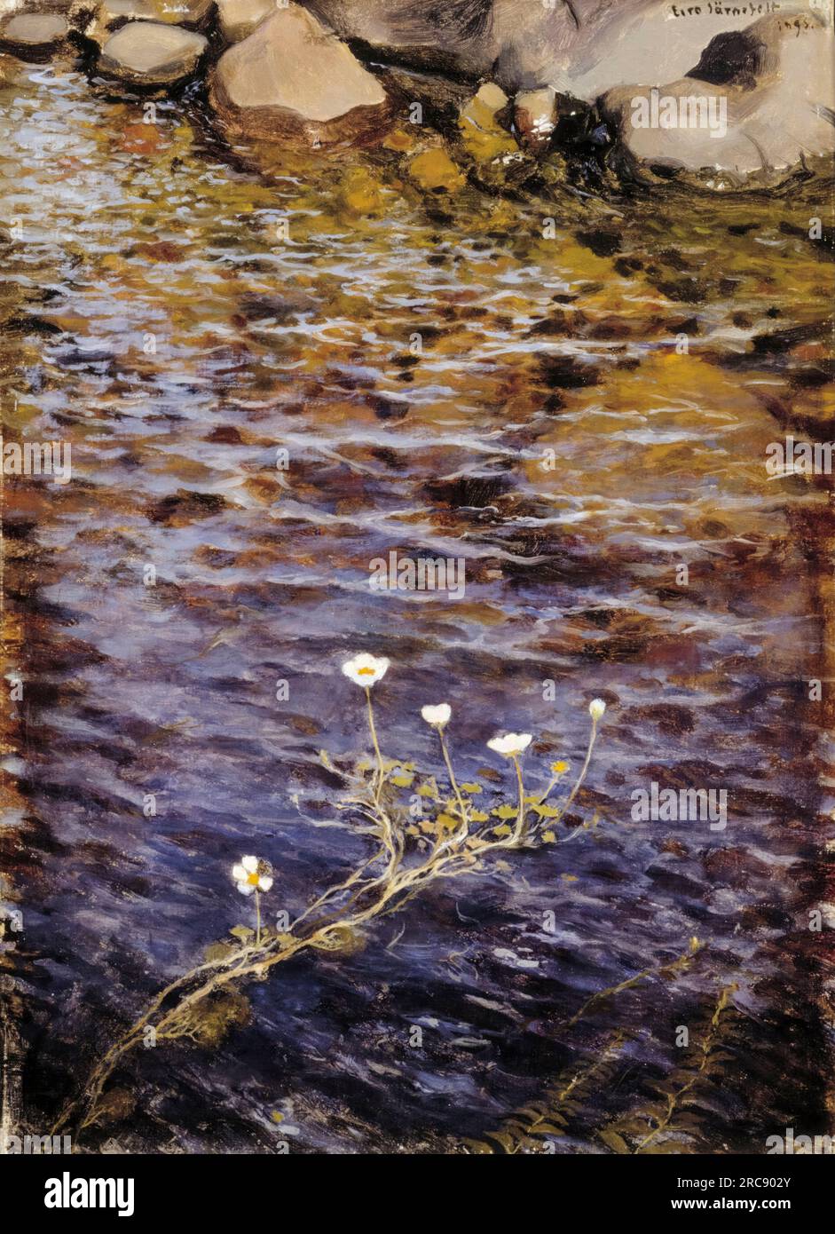 Eero Järnefelt, Pond Water Crowfoot, pittura ad olio su tela, 1895 Foto Stock