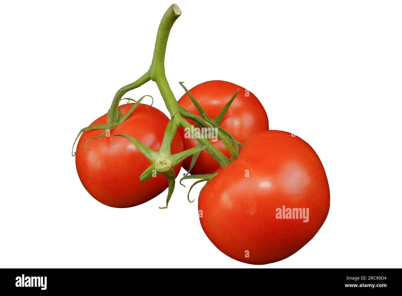 Pomodori. Rametto di pomodori maturi e rossi isolato su fondo bianco. Foto Stock
