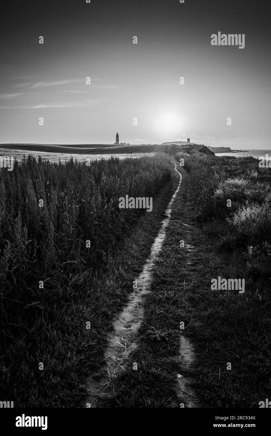 Faro di Happisburgh sulla costa del Norfolk al tramonto. Foto Stock