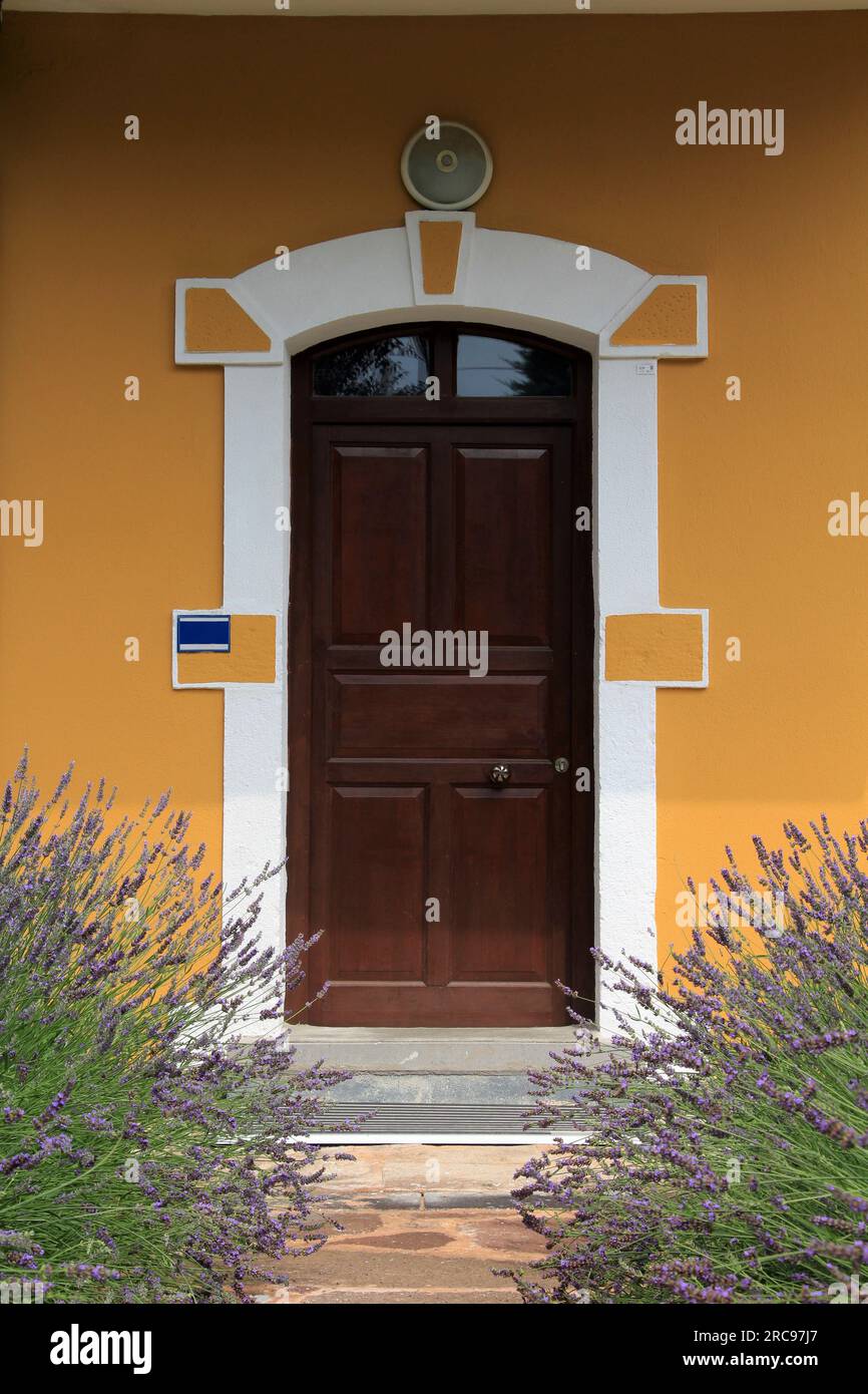 Porta d'ingresso di una casa gialla e lavanda in fiore di fronte alla casa. Foto Stock