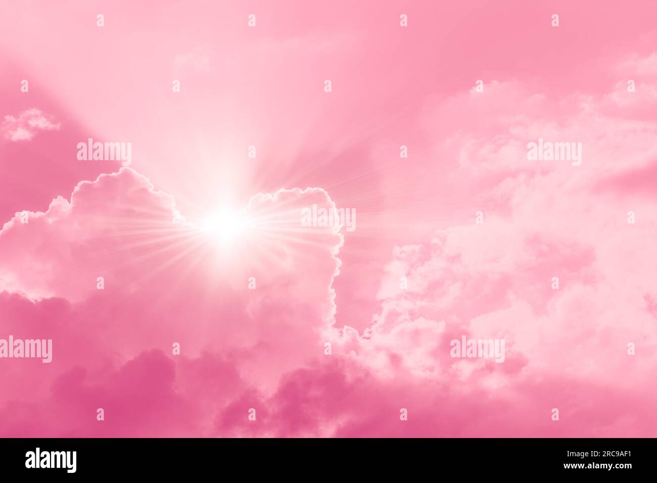 il cielo rosa adora la graziosa dolce ragazza rosa, il cielo luminoso e soleggiato, per lo sfondo da cartolina di matrimonio Foto Stock