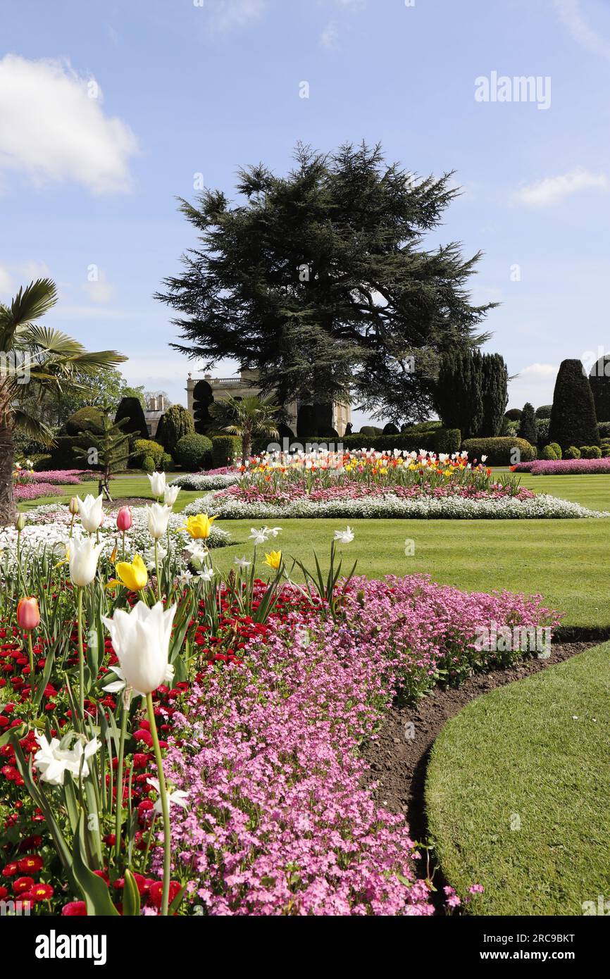 I giardini di Brodsworth Hall, Nr Doncaster, Regno Unito Foto Stock