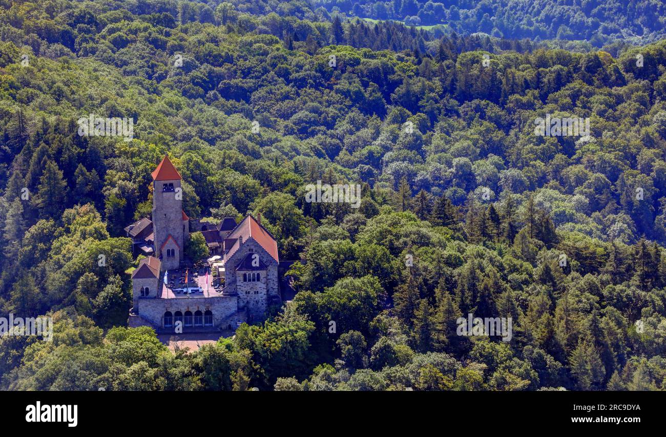 Luftaufnahme der Wachenburg a Weinheim, UNESCO-Global-Geopark Bergstraße-Odenwald, Baden-Württemberg, Bergstraße, Odenwald, Süddeutschland, Deutschla Foto Stock