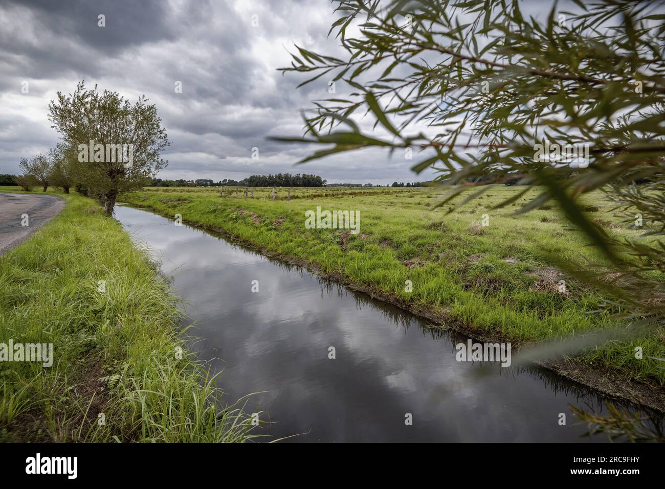 Der graue Wolkenhimmel spiegelt sich in einem Wassergraben, der parallel zur Straße durch der Wedeler Marsch verläuft. Im Hintergrund grasen Rinder au Foto Stock
