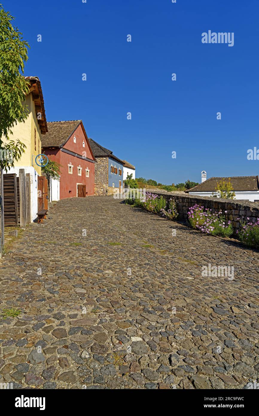 Freilichtmuseum, Bauernhofmuseum, Skanzen, Szentendrei Szabadtéri Néprajzi Múzeum, Region Oberungarn, Marktflecken, Felföldi Mezöváros, Häuser Foto Stock