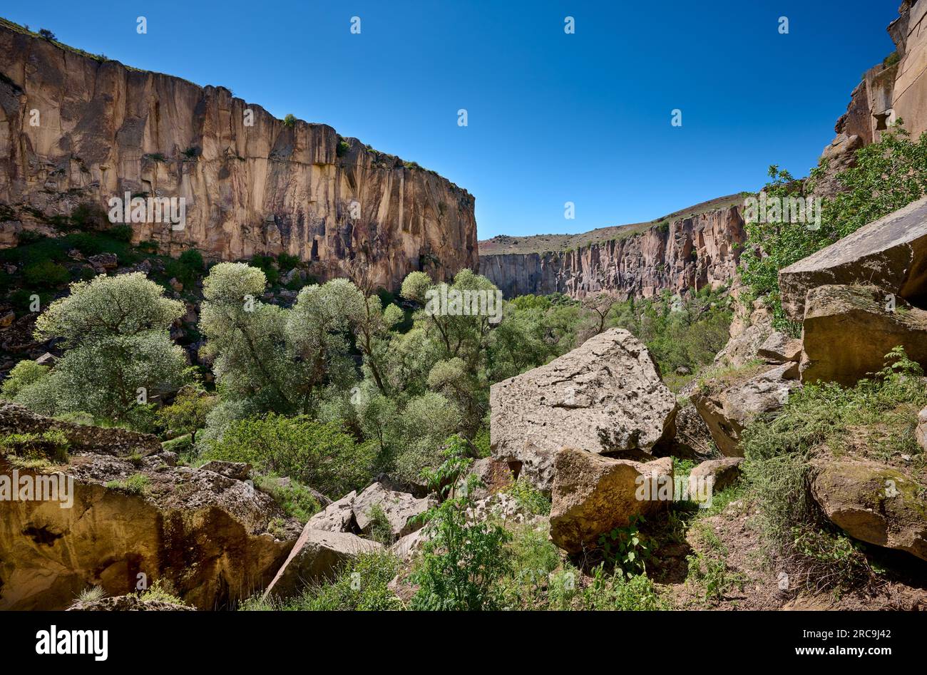 Landschaft des Ihlara-tal, Güzelyurt, Kappadokien, Anatolien, Tuerkei |paesaggio della valle di Ihlara o della valle di Peristrema, Ihlara, provincia di Aksaray, G. Foto Stock