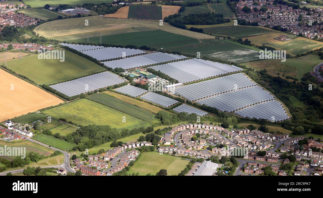 Vista aerea dei tunnel polittici presso la e Oldroyd & Sons Hopefield Farm, dove viene coltivato il rabarbaro forzato dello Yorkshire Foto Stock