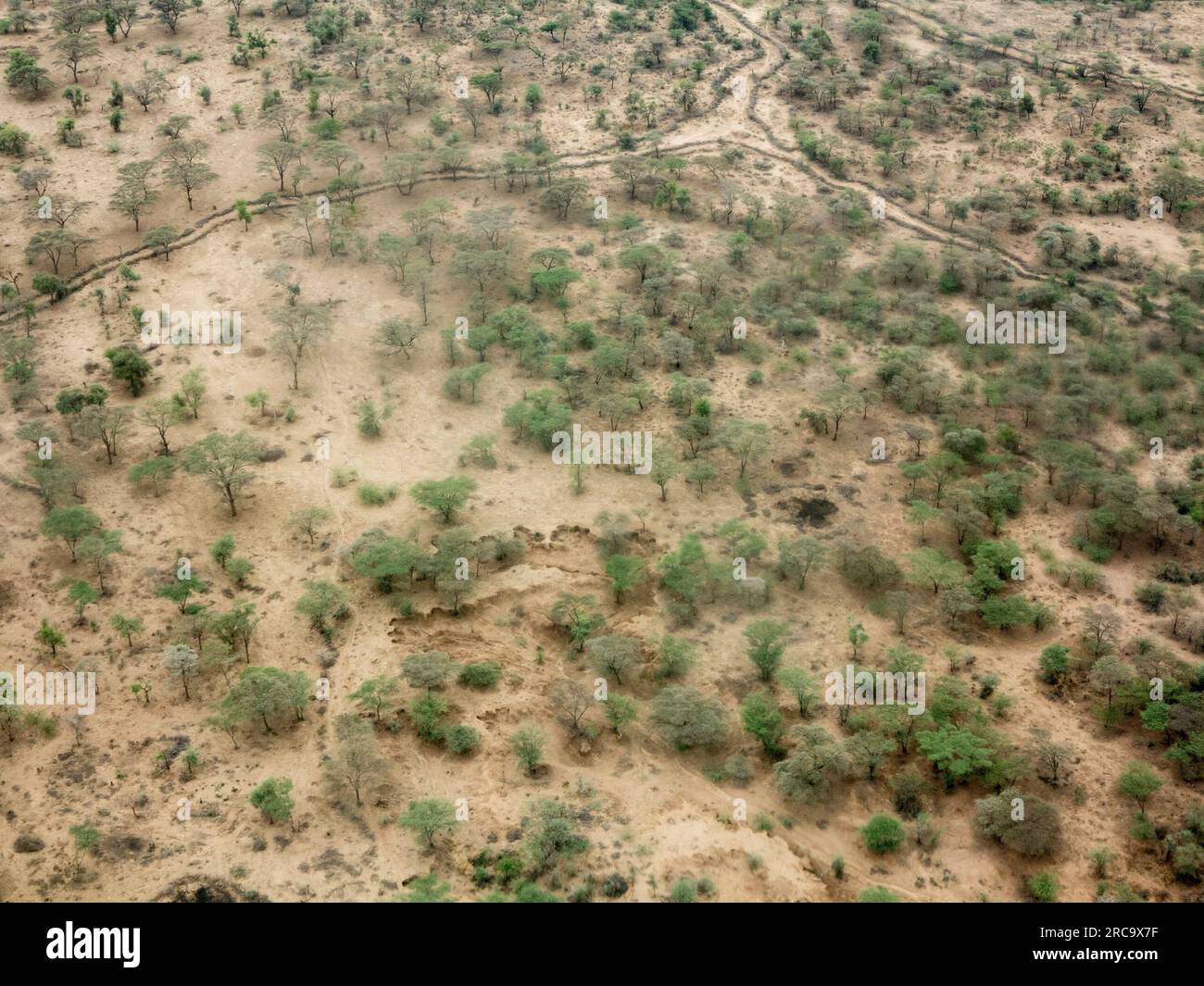 Vista aerea del sahel secco in Africa vicino al confine tra Etiopia e Somalia. Foto Stock