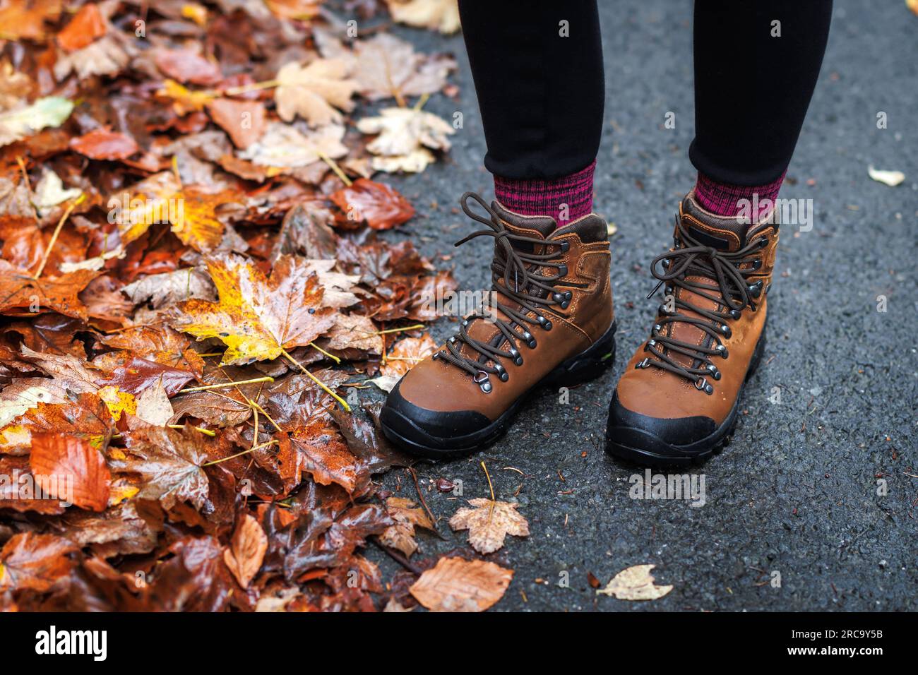 Scarpa da trekking su strada con foglie autunnali. Stivaletti impermeabili in pelle. Gambe femminili che indossano scarpe sportive e calzini a maglia all'aperto Foto Stock