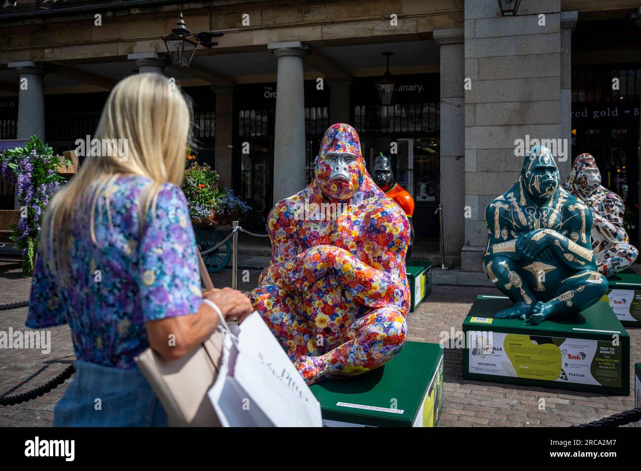 Londra, Regno Unito. 13 luglio 2023. Una donna vede alcuni dei quindici gorilla decorati a grandezza naturale che formano il Tusk Gorilla Trail, che vengono presentati al pubblico tutti insieme a Covent Garden. Ogni gorilla è stato progettato da una celebrità, tra cui l'ex membro dei Rolling Stones Ronnie Wood, il fotografo Rankin e l'attore John Cleese. Dal 14 luglio, le opere d'arte saranno collocate intorno alla piazza di Covent Garden e alle strade circostanti, così come a Seven Dials, fino a metà ottobre prima di essere messe all'asta per raccogliere fondi per le pratiche di conservazione di Tusk in Africa. Crediti: Stephen Chung / Alamy Live News Foto Stock