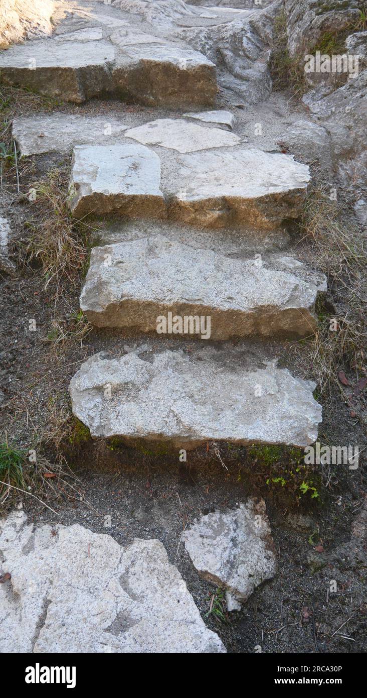 Scalini rocciosi che conducono su una collina a Whytecliff Park, West Vancouver, British Columbia, Canada Foto Stock