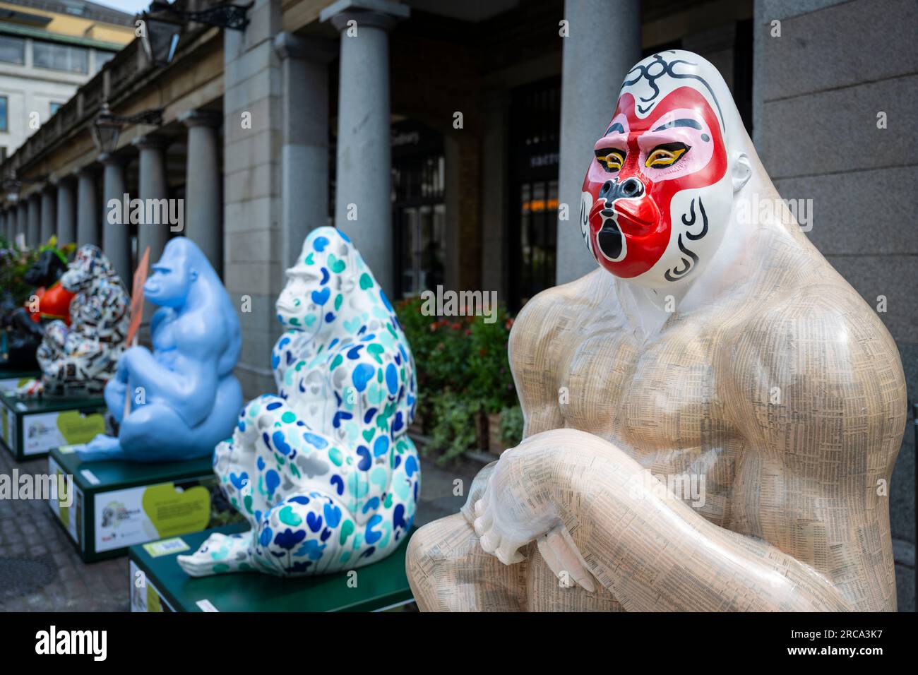 Londra, Regno Unito. 13 luglio 2023. Alcuni dei quindici gorilla decorati a grandezza naturale che formano il Tusk Gorilla Trail, che vengono presentati al pubblico tutti insieme a Covent Garden. Ogni gorilla è stato progettato da una celebrità, tra cui l'ex membro dei Rolling Stones Ronnie Wood, il fotografo Rankin e l'attore John Cleese. Dal 14 luglio, le opere d'arte saranno collocate intorno alla piazza di Covent Garden e alle strade circostanti, così come a Seven Dials, fino a metà ottobre prima di essere messe all'asta per raccogliere fondi per le pratiche di conservazione di Tusk in Africa. Crediti: Stephen Chung / Alamy Live News Foto Stock