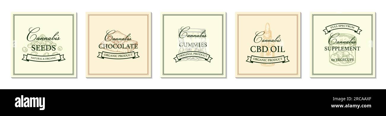 Set di articoli per la cannabis e modello vintage con logo con elementi disegnati a mano. Illustrazione vettoriale nello stile di schizzo. Design per branding e prodotti Illustrazione Vettoriale