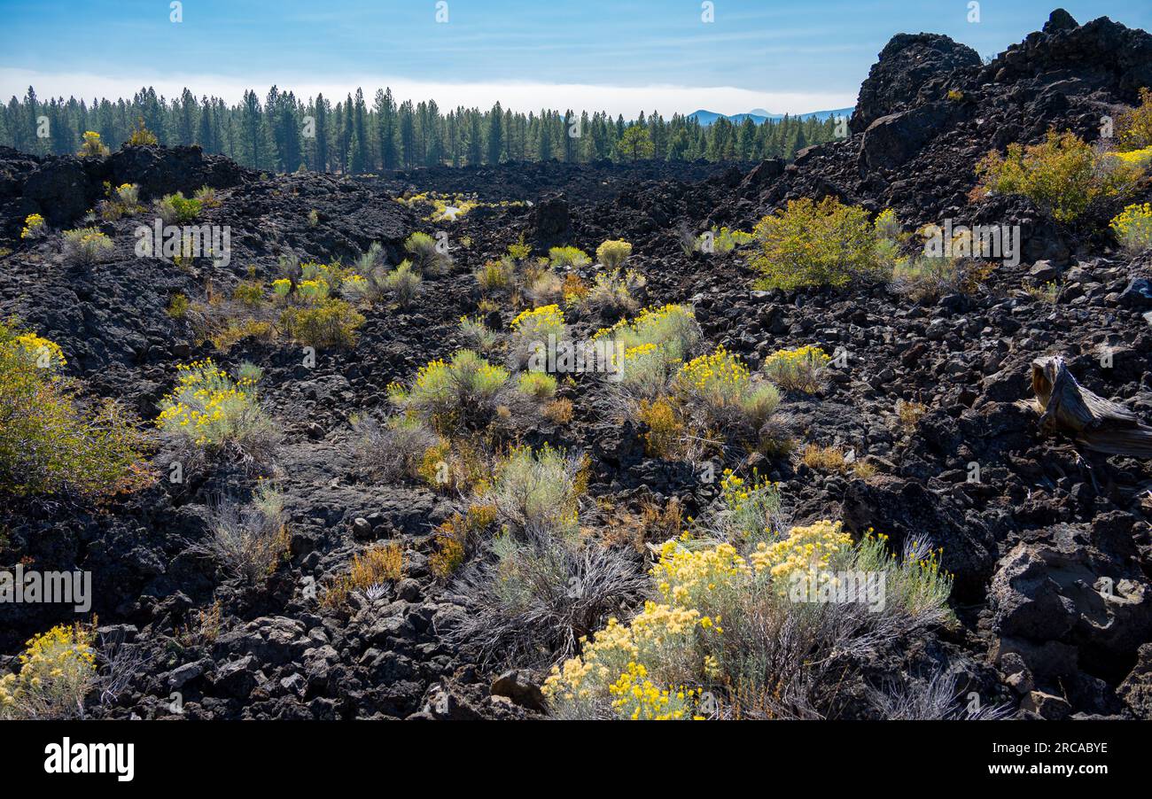 Trail of the Molten Land | Newberry National Volcanic Monument, Oregon, Stati Uniti Foto Stock