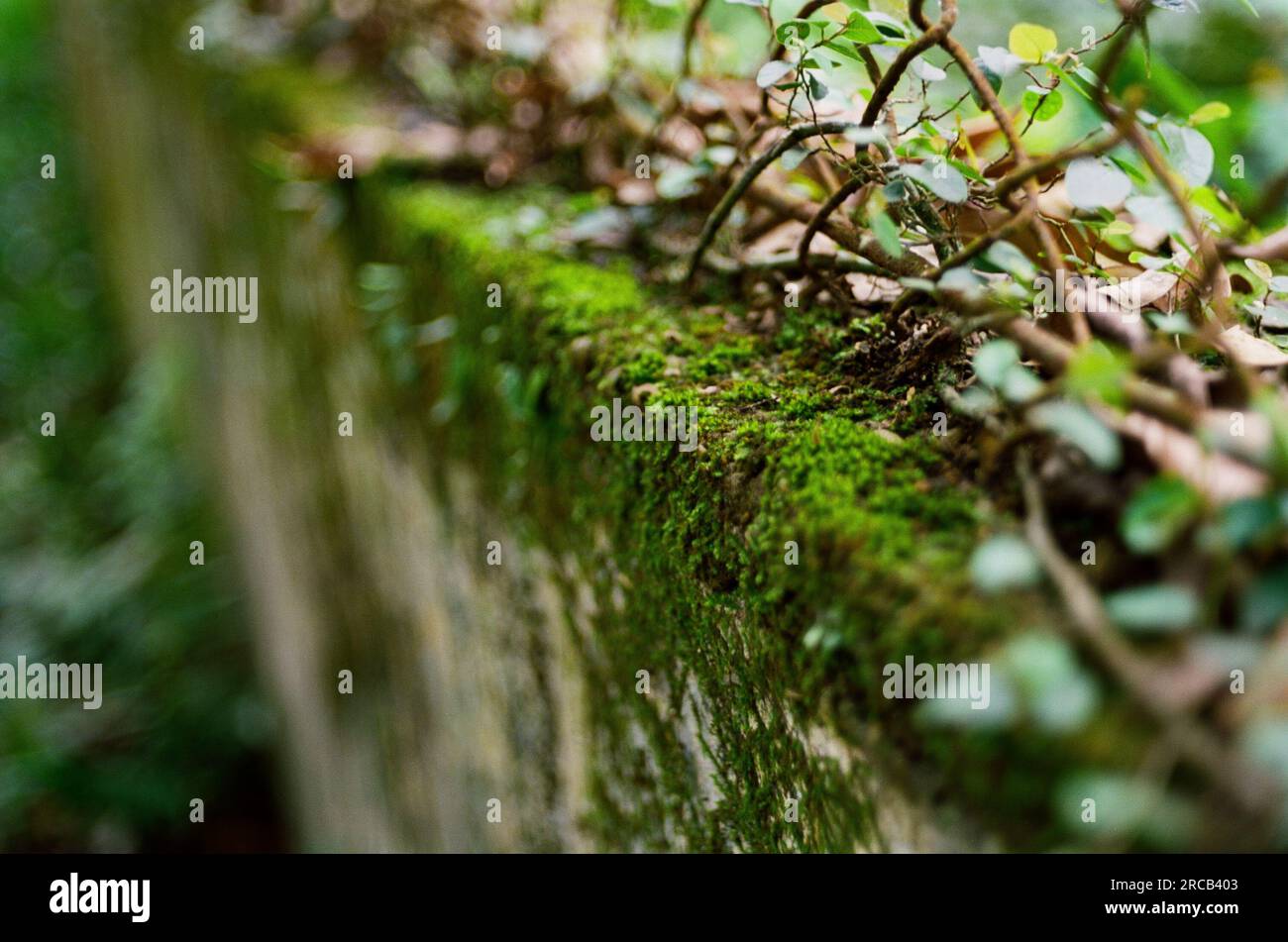 Una giornata di sole sul parco nazionale di Ba vi, ha noi, Vietnam Foto Stock