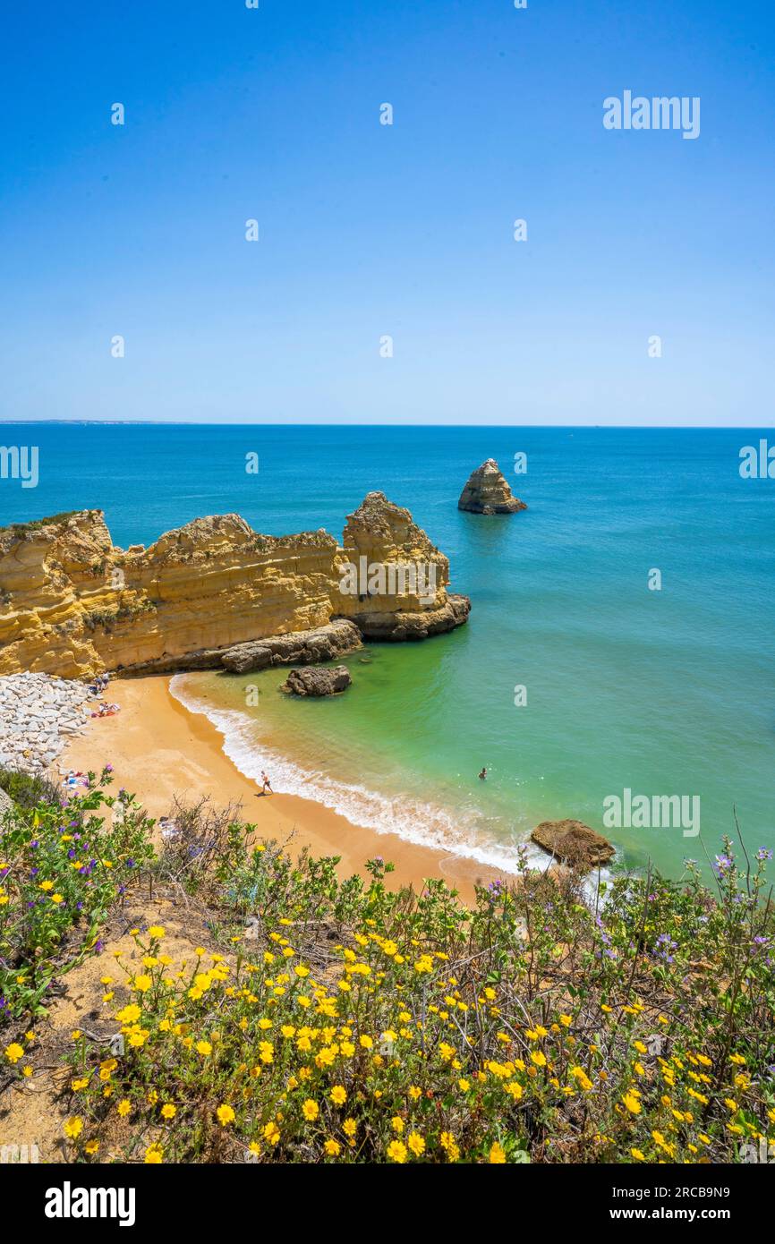 Praia de Dona Ana, Lagos. Algarve, Portogallo Foto Stock