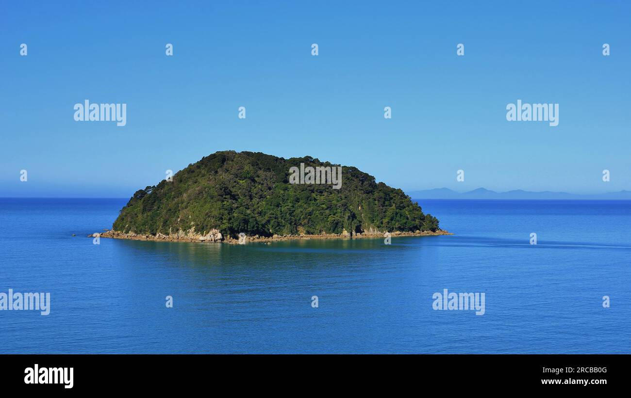 Contesto naturale. Piccola isola in nuova Zelanda. Parco nazionale di Abel Tasman Foto Stock