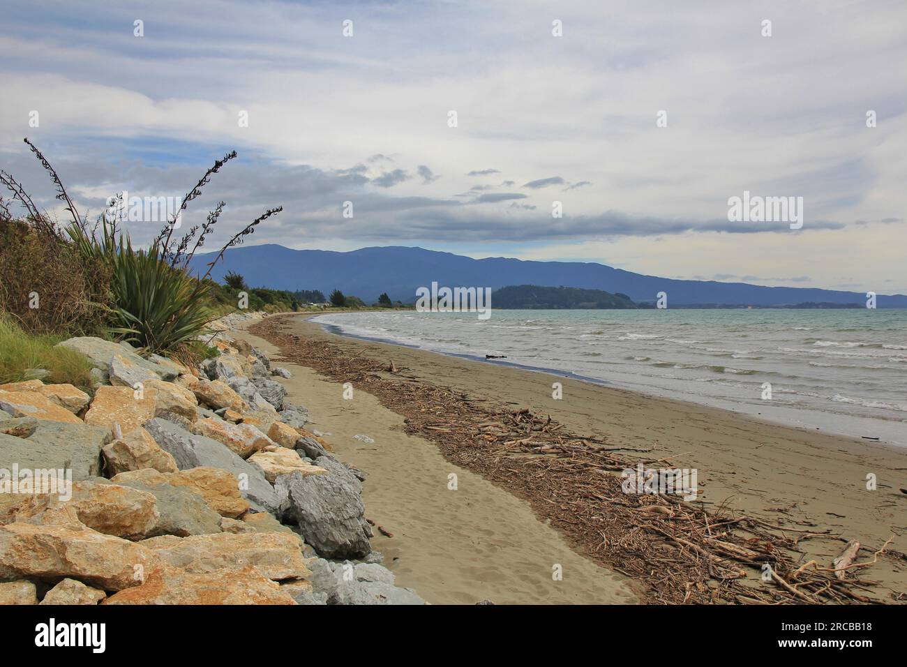 Scena estiva a Pohara Beach, nuova Zelanda. Giorno nuvoloso. Driftwood si è lavato a terra dopo forti piogge Foto Stock