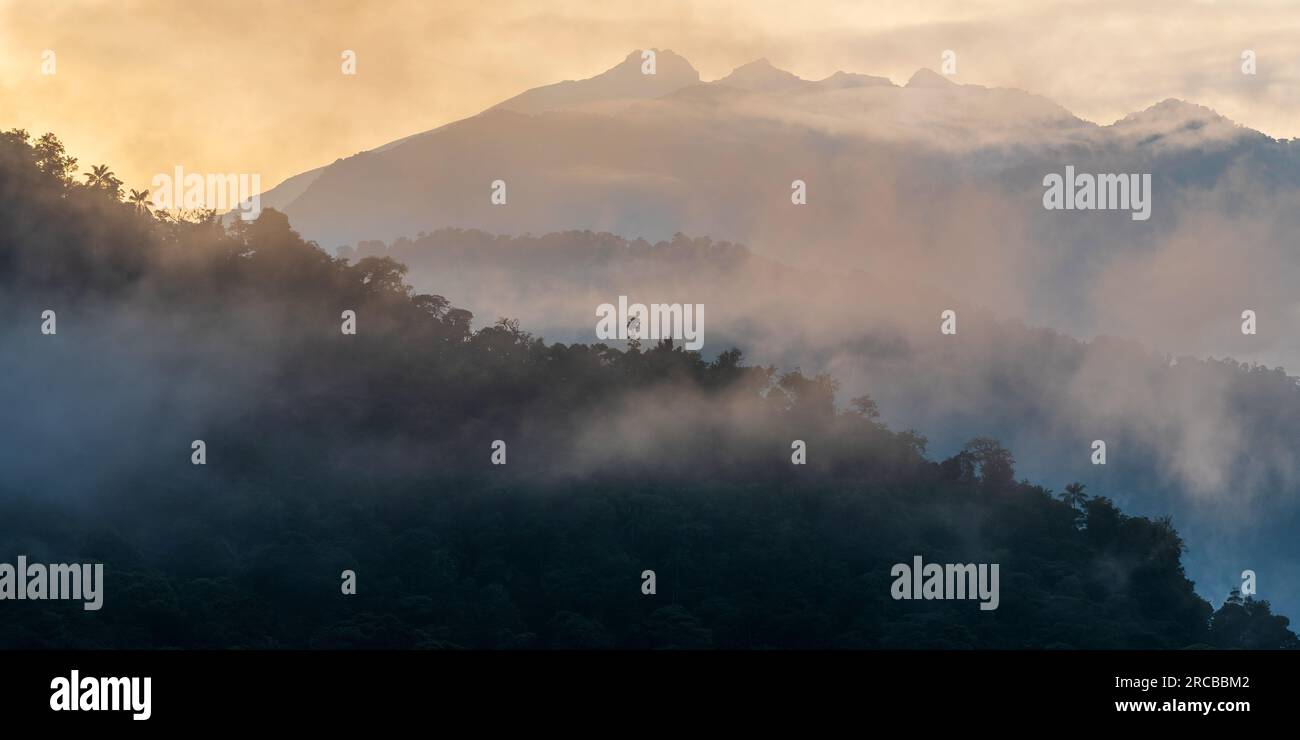 Panorama dell'alba nella foresta delle nuvole e vette delle Ande, foresta delle nuvole di Mindo, regione di Quito, Ecuador. Foto Stock