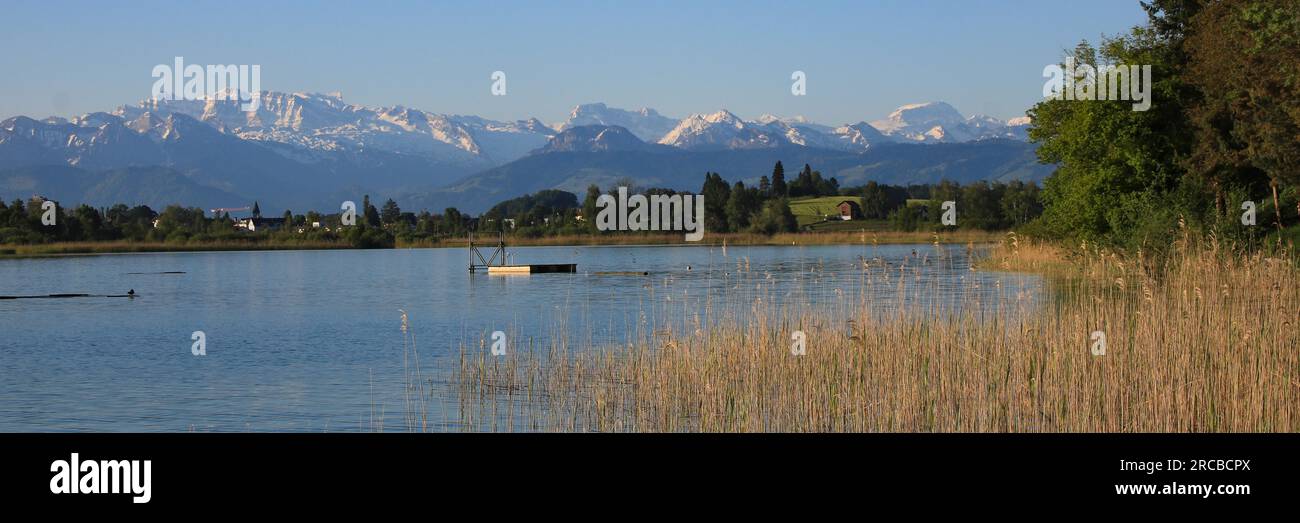 Luogo di nuoto a Seegraben, Canton Zurigo. Montagne innevate Foto Stock