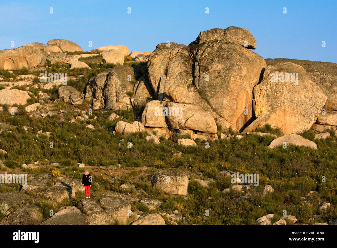 Terreno roccioso granitico, roccia vulcanica, Valencia de Alcantara, Estremadura, Spagna Foto Stock