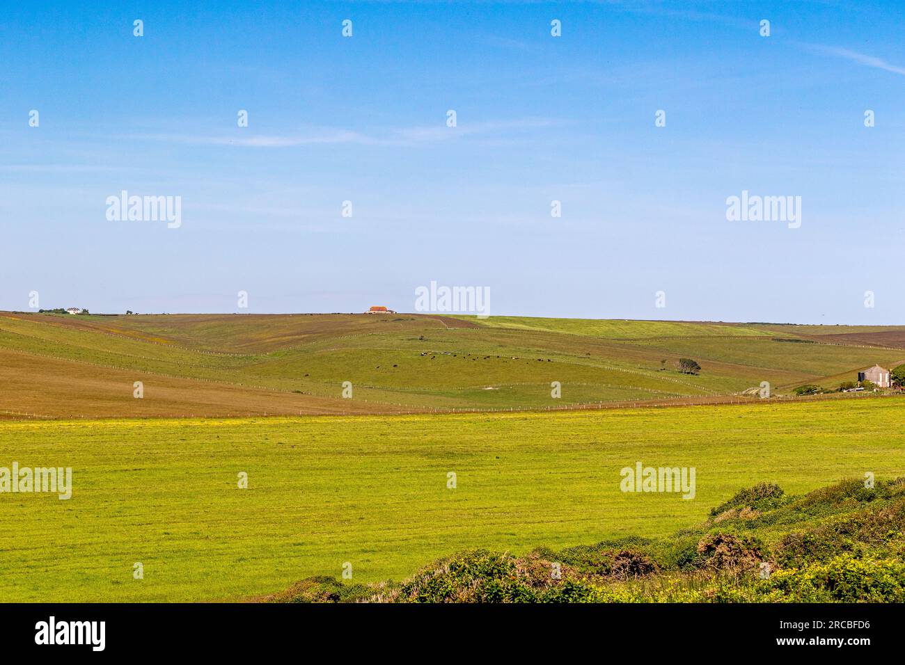 Foto paesaggistica scattata presso le scogliere Seven Sisters Foto Stock