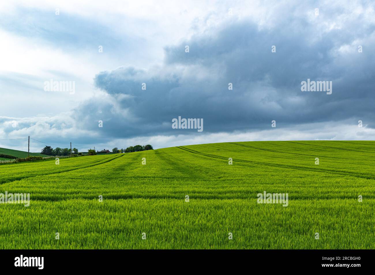 Foto paesaggistica scattata presso le scogliere Seven Sisters Foto Stock