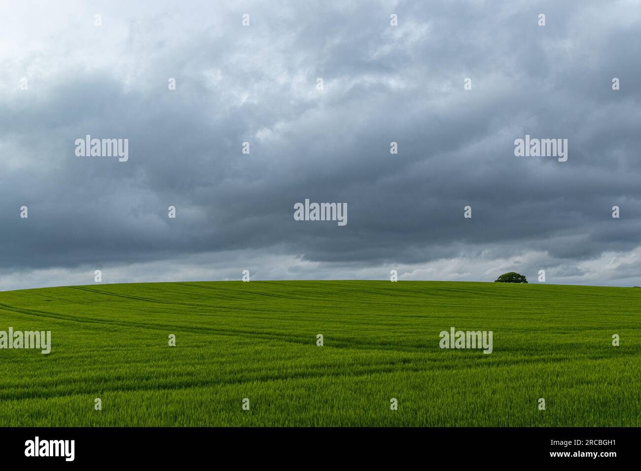 Foto paesaggistica scattata presso le scogliere Seven Sisters Foto Stock