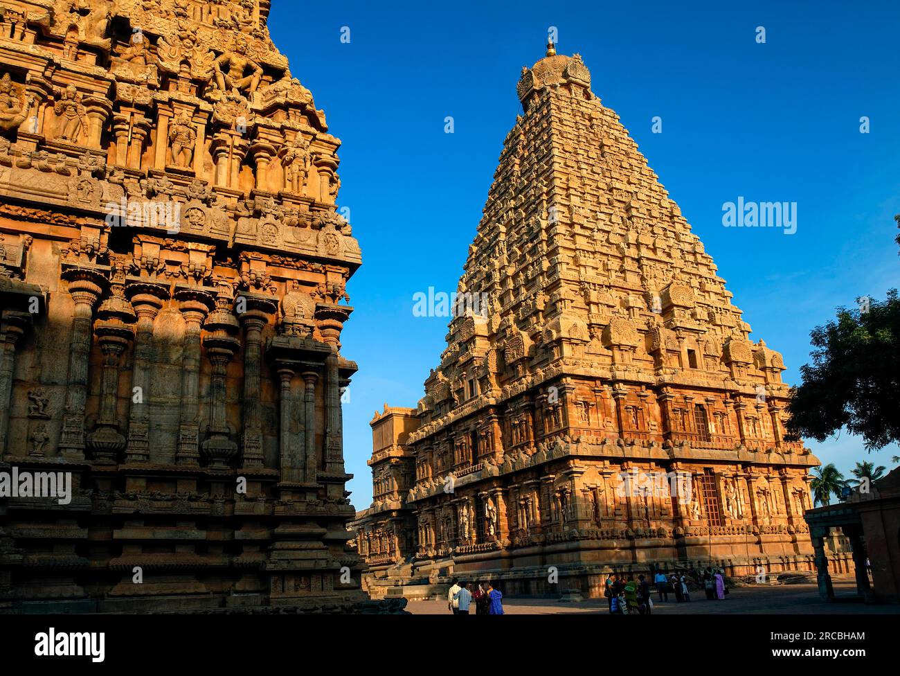 Brihadisvara Brihadeeswara grande Tempio gopuram vimana (X secolo) Thanjavur Tanjore, Tamil Nadu, India meridionale, Asia. Patrimonio dell'umanità dell'UNESCO Foto Stock