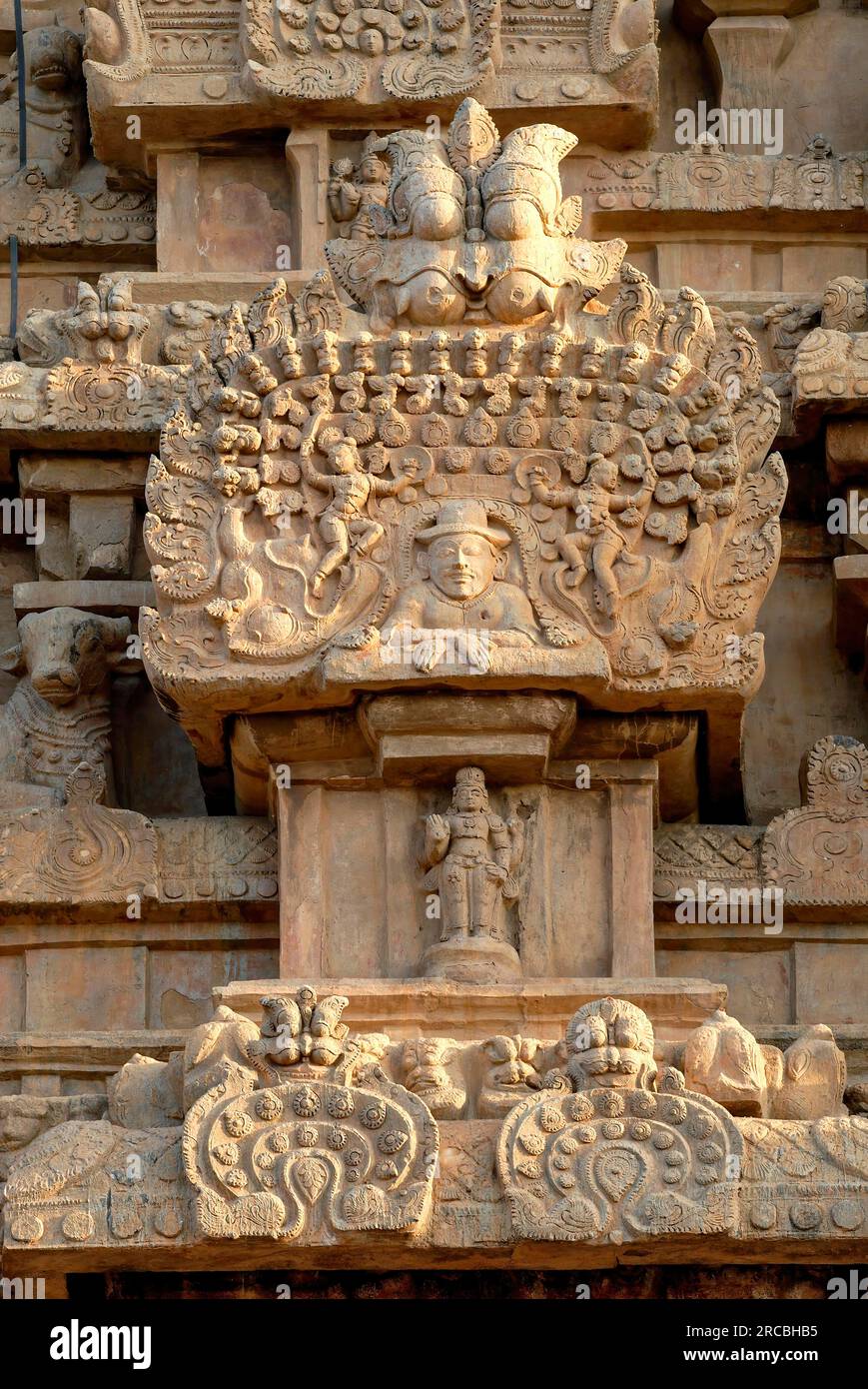 Scultura di un uomo europeo scolpita nella torre del gopuram, il grande Tempio Brihadisvara Brihadeeswara (X secolo) Thanjavur Tanjore, Tamil Nadu, Sud Foto Stock