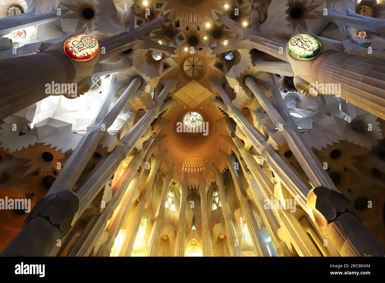 Barcellona, Spagna, 6 giugno 2023, dettaglio interno della cattedrale della Sacra famiglia sotto contorto, vista prospettica verso il soffitto Foto Stock