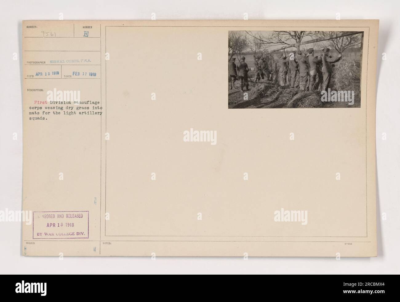 I membri del First Division Camouflage Corps sono visti in questa immagine tessendo erba secca in tappetini. Questi tappetini sono stati concepiti per fornire un mimetismo alle squadre di artiglieria leggera durante la prima guerra mondiale. La fotografia è stata scattata da un fotografo del Signal Corps il 17 febbraio 1918, ed è stata rilasciata dalla War College Division il 18 aprile 1918. Foto Stock