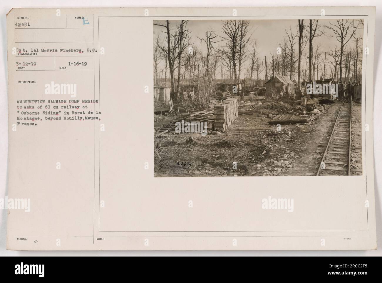 I soldati dell'esercito americano sono visti alla discarica di salvataggio delle munizioni situata accanto ai binari di una ferrovia di 60 cm a 'Osborne Siding' a Foret de la Montagne, oltre Mouilly, Mosa, Francia. La foto è stata scattata il 16 gennaio 1919 dal sergente Morris Fineberg. Foto Stock