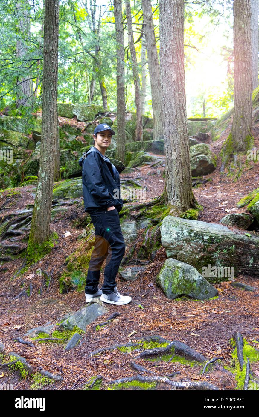 un uomo in piedi nella vecchia foresta Foto Stock