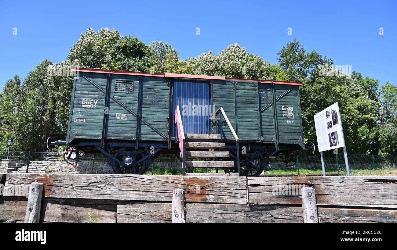 Treno dell'Olocausto Foto Stock