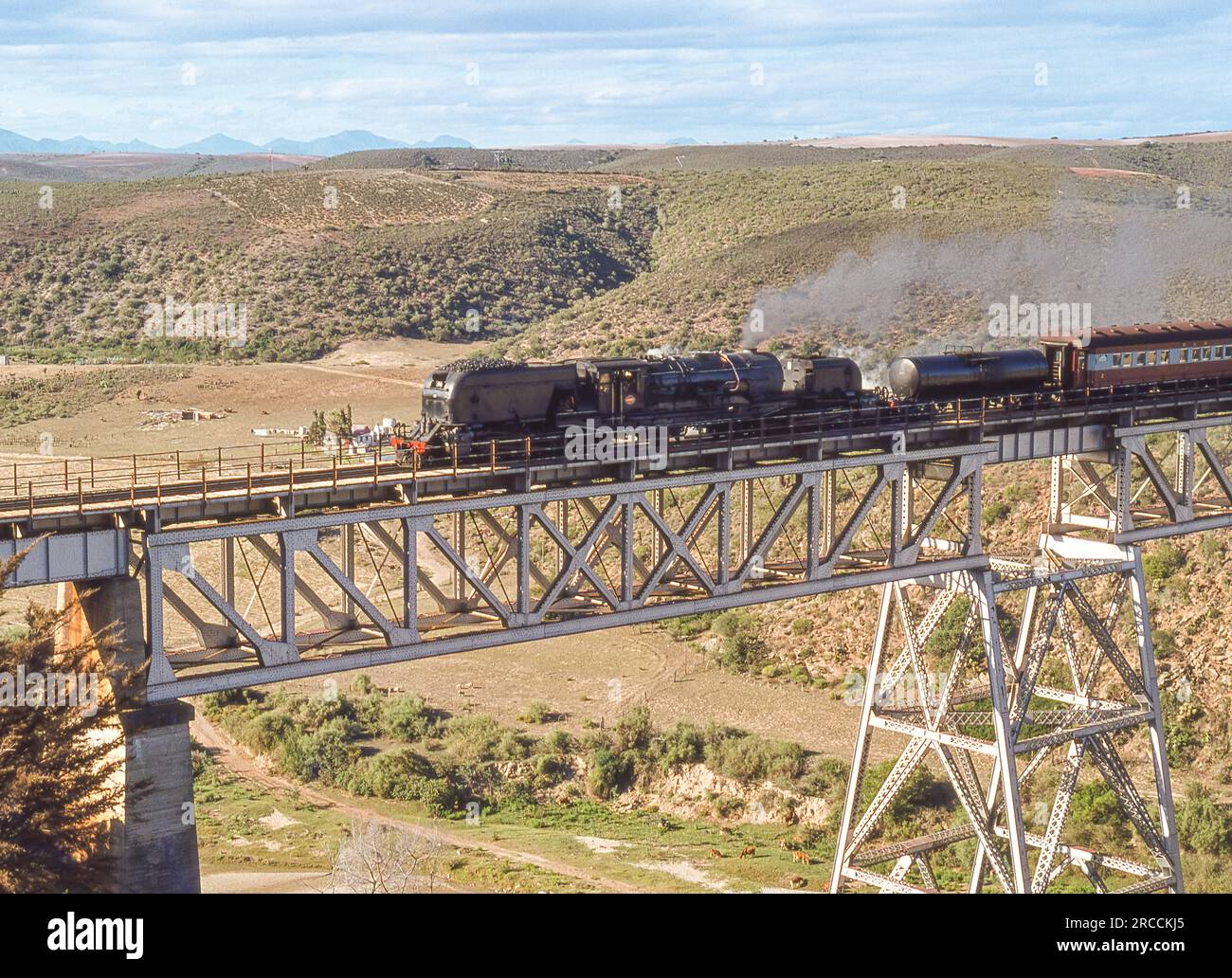 Un motore a vapore che attraversa un ponte ferroviario vicino alla baia di Mossel nella provincia del Capo Occidentale in Sudafrica. Foto Stock