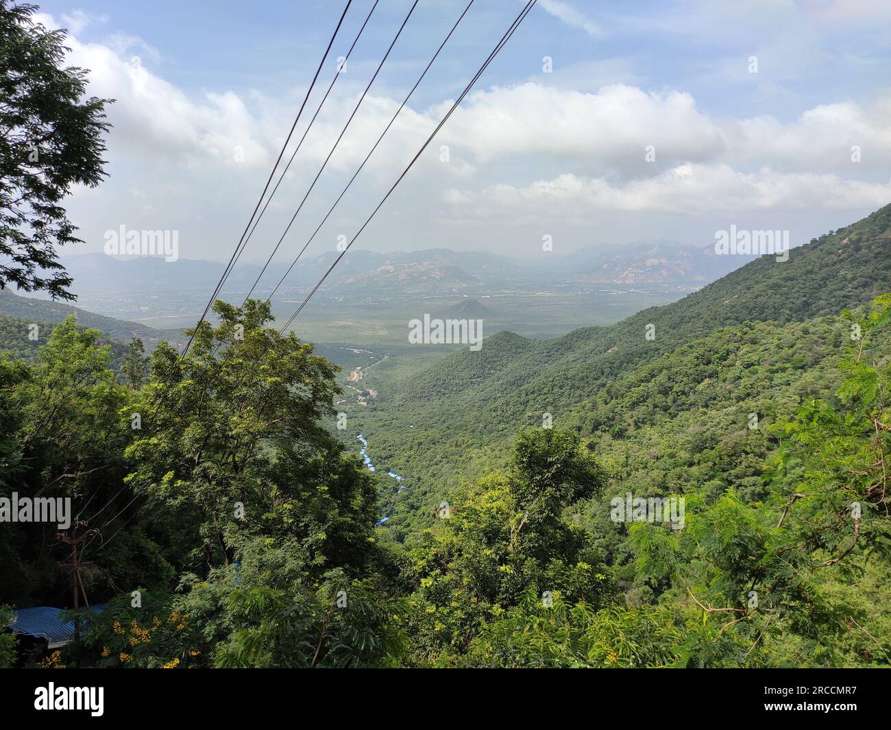 Lussureggiante vista verde dal Sentiero pedonale di Srivari Mettu che conduce al Tempio di Tirupati Foto Stock