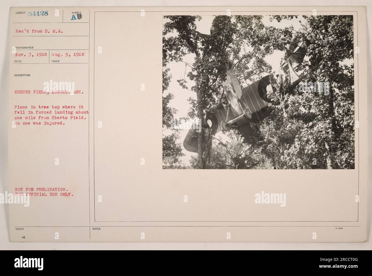 Aereo bloccato negli alberi dopo l'atterraggio forzato vicino a Eberts Field a Lonoke, Arkansas. Nessuna ferita segnalata. Data: 9 agosto 1918. Foto non destinata alla pubblicazione, ma esclusivamente per uso ufficiale. Catturato dal fotografo D. M.A. il 7 novembre 1918. Foto Stock