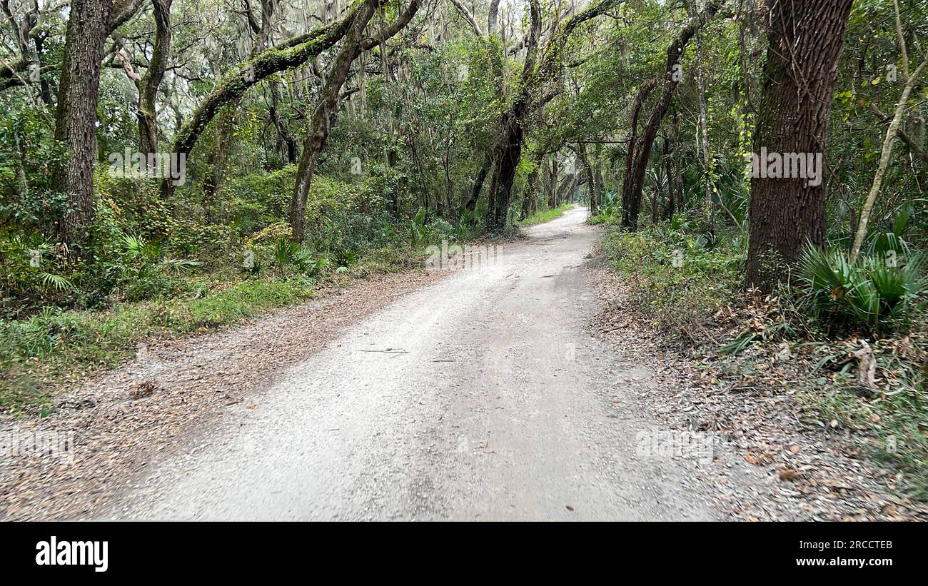 Il viaggio attraverso la più forest nel Parco Nazionale ecologico di Timucuan a Jacksonville, Florida. Foto Stock